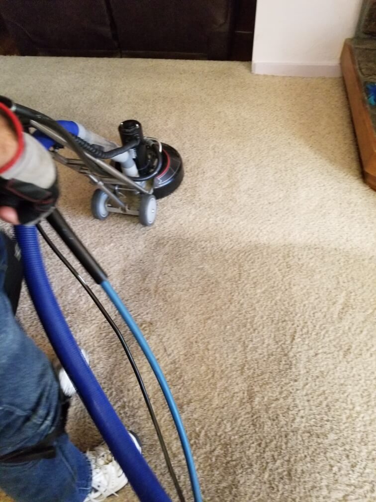 Carpet Cleaning Services in Auburn, CA Mother Lode Carpet Cleaning